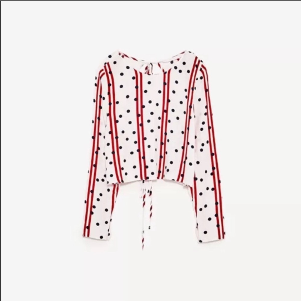 NWT Zara striped Polka dot crop top